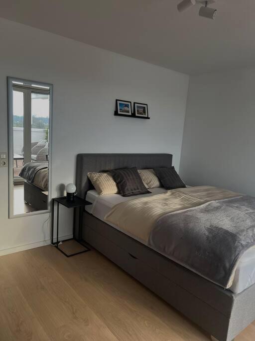 Penthouse Apartment In Kehl Ngoại thất bức ảnh